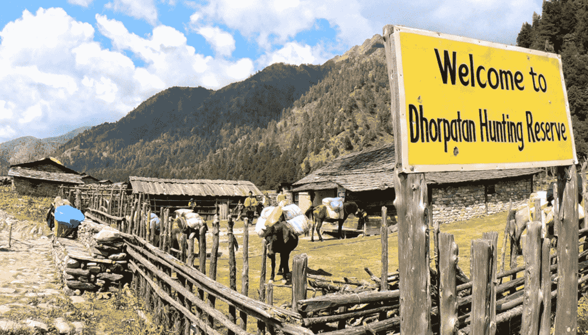 Journey Through Nepal’s Remote Wilderness on the Dhorpatan Trek